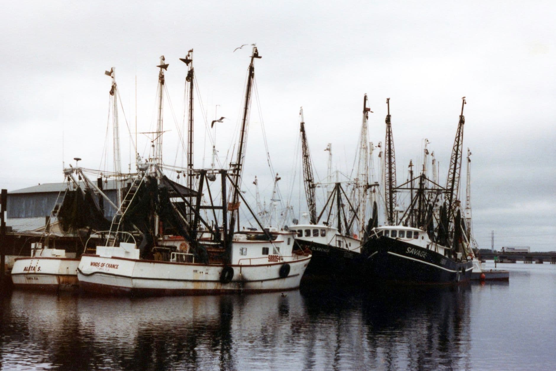 Cortez scenery