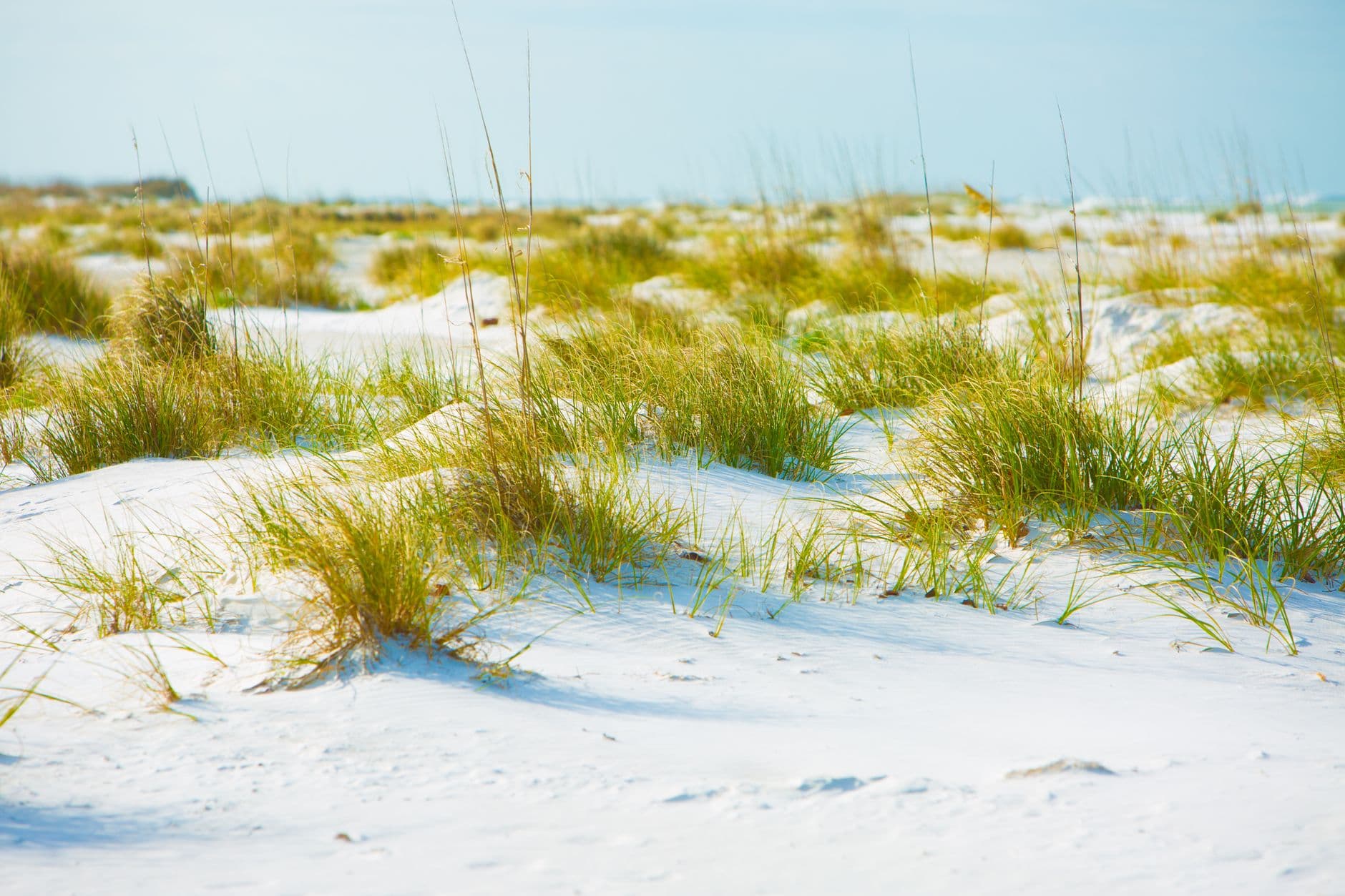 Holmes Beach scenery